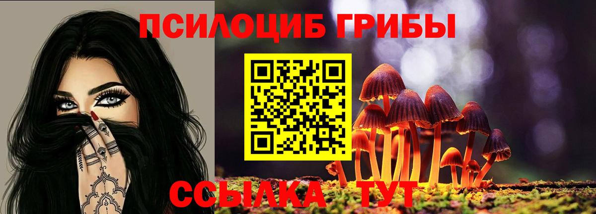 Галлюциногенные грибы мицелий Керчь