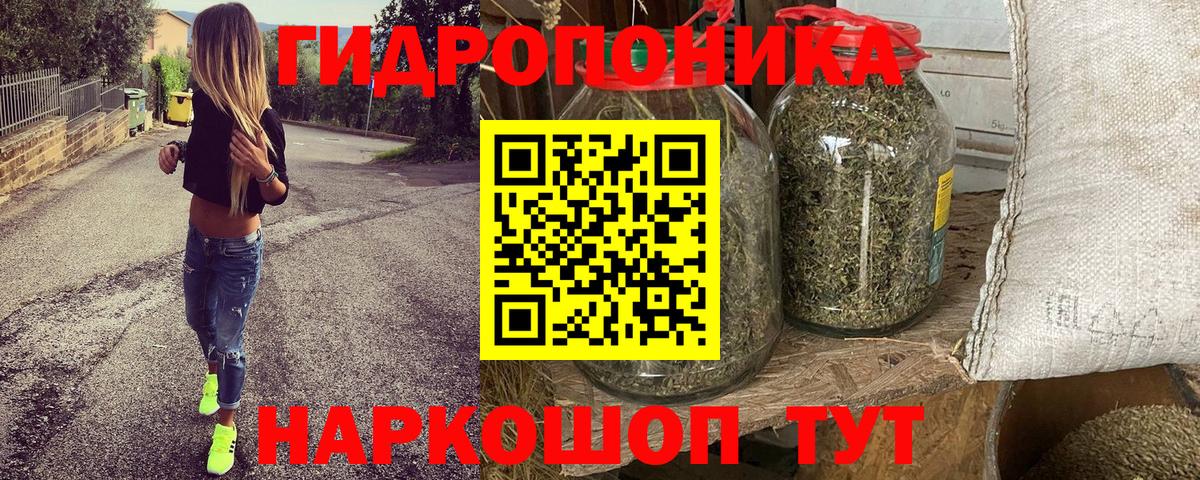 Бошки марихуана план  Конопля OG Kush  Марихуана LSD WEED  Вход с VPN  Керчь 